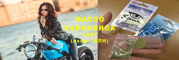гидра Гусь-Хрустальный