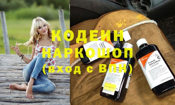 spice Гусев