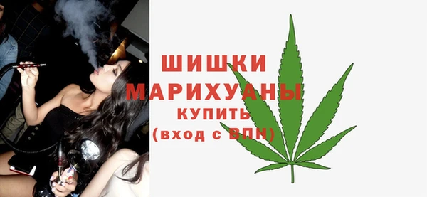 spice Гусев