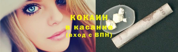 гидра Гусь-Хрустальный