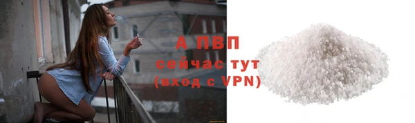 spice Гусев