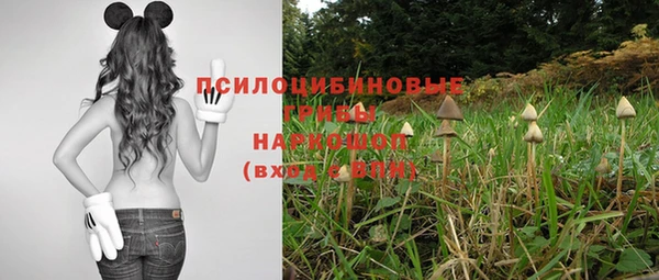 не бодяженный Гусиноозёрск
