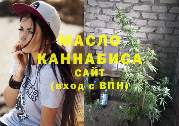 гидра Гусь-Хрустальный