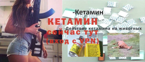 spice Гусев