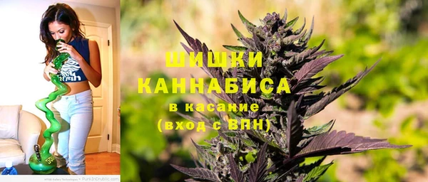 не бодяженный Гусиноозёрск