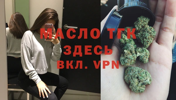 spice Гусев