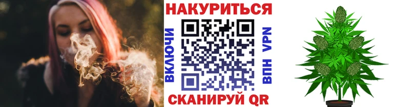 Конопля семена  Купить  Нестеров 